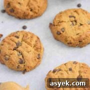 25+ Dairy-Free, Gluten-Free Protein Desserts 18 Peanut butter chocolate chip protein cookies on a parchment paper lined baking tray with a spoon of peanut butter on the tray too.