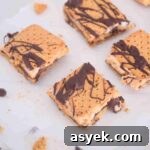 25+ Dairy-Free, Gluten-Free Protein Desserts 33 Frozen protein s'mores with chocolate drizzle