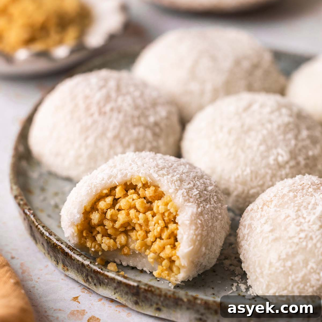 Coconut Peanut Mochi