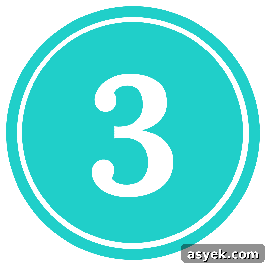 number 3 in a teal circle