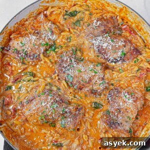 Chicken Thighs and Tuscan Orzo